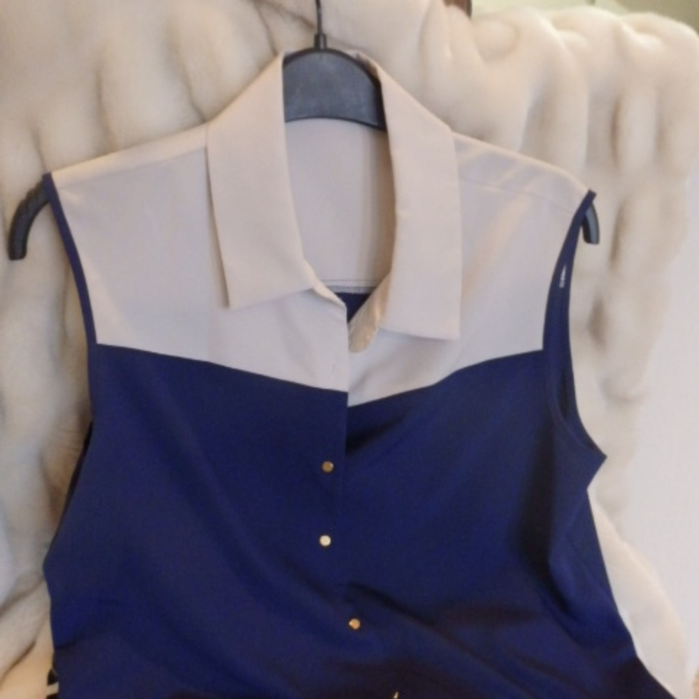 Gianni Bini Silk Blouse
